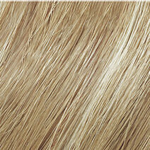 HIGH LIFT TITANIUM - Redken HIGH LIFT TITANIUM - Redken | L'Oréal Partner Shop