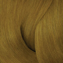 COLOR GELS 7GB BUTTERSCOTCH - Redken COLOR GELS 7GB BUTTERSCOTCH - Redken | L'Oréal Partner Shop