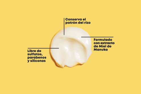 COWASH DEFINICIÓN RIZOS A CURL CAN DREAM - Reventa | L'Oréal Partner Shop