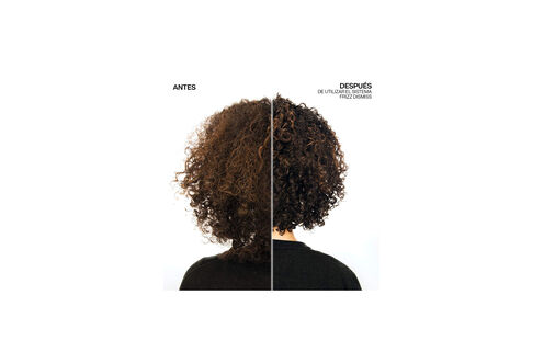 ACEITE ANTI-STATIC ANTI-FRIZZ FRIZZ DISMISS - PROMOCIÓN HAIRCARE REDKEN | L'Oréal Partner Shop