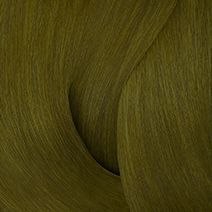 COLOR GELS 6GN MOSS - Color Gels | L'Oréal Partner Shop