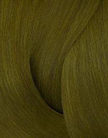 COLOR GELS 6GN MOSS - Color Gels | L'Oréal Partner Shop