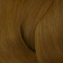 COLOR GELS OILS 06WG - Color Mantra | L'Oréal Partner Shop