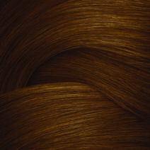 COLOR GELS 10 MIN 5N WALNUT - Color Gels COLOR GELS 10 MIN 5N WALNUT - Color Gels | L'Oréal Partner Shop