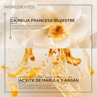 ACEITE ELIXIR OIL 75ML V310 - Retail | L'Oréal Partner Shop