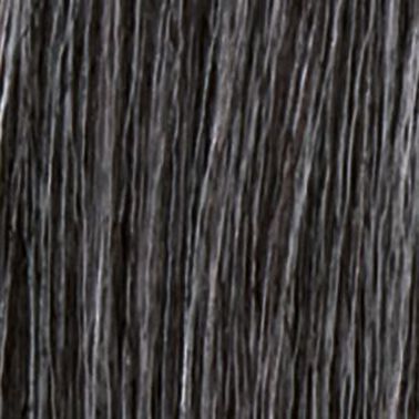 Shampoo Matizador Cabello Gris Silver - Redken | L'Oréal Partner Shop