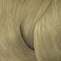 COLOR GELS 9NA MIST - Color Gels | L'Oréal Partner Shop