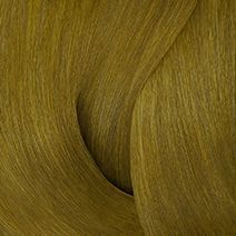 COLOR GELS 7GB BUTTERSCOTCH - Color Gels | L'Oréal Partner Shop