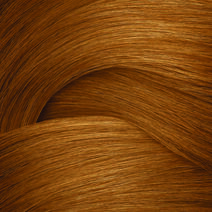 COLOR GELS 10 MIN 6NW BRANDY - Color Gels COLOR GELS 10 MIN 6NW BRANDY - Color Gels | L'Oréal Partner Shop