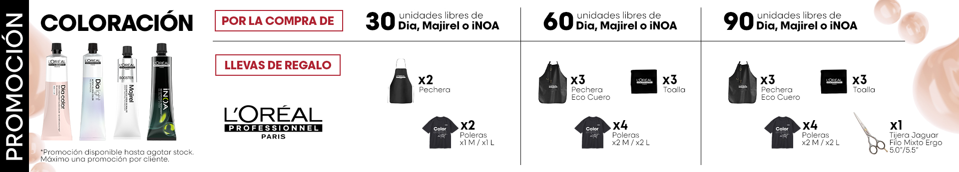 LP-banner-promocion-color | L'Oréal Partner Shop
