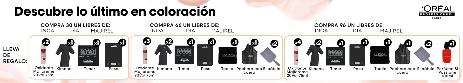 promo-color-lp-c promo-color-lp-c | L'Oréal Partner Shop