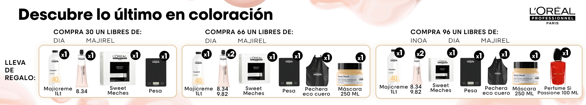 promo-color-lp-c promo-color-lp-c | L'Oréal Partner Shop